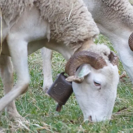 De L'escolan Hostel *
